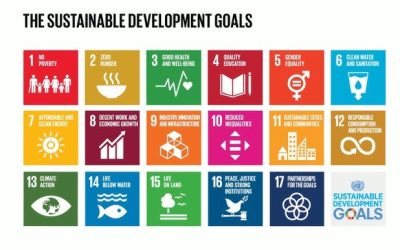 Sustainable Develoment Goals (SDGs)